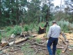 7.Sr_.-Ruben-Mayen-mirando-la-deforestacion.jpg
